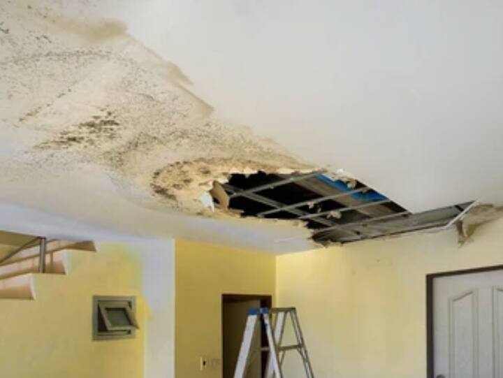 LONG WATER RESTORATION PROS Kissimmee, FL (407) 559-8954
